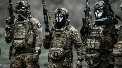 Стала известна численность россиян в рядах «Азова»*