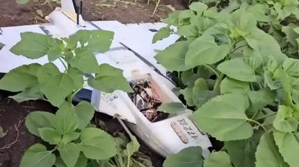 Зачем Украина копит упавшие российские дроны «Гербера»