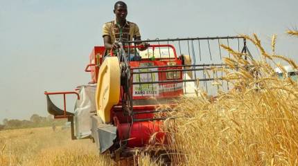 Le Monde: мировой голод теперь вполне возможен