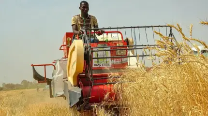 Le Monde: мировой голод теперь вполне возможен