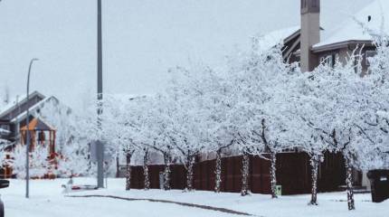 «Трудные решения»: граждане США отключают электричество и тепло в домах в морозы