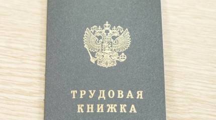 Все трудовые книжки россиян оцифрованы