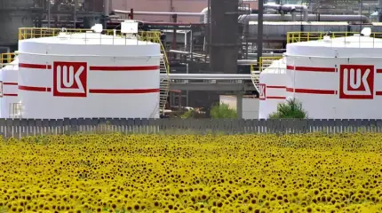 «Лукойл» режут по живому, а никому вроде бы и дела нет