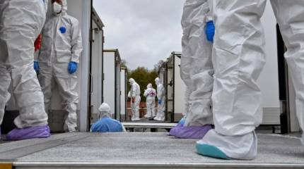 Что показал новый обмен телами погибших между РФ и Украиной