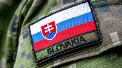Не только НАТО: Словакия примет у себя больше иностранных военных