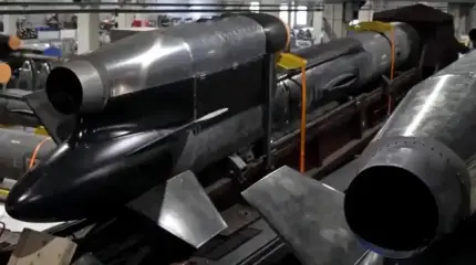 Украинская ракета «Фламинго» стала средством пропаганды