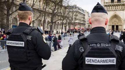 «Париж горит, виноват Путин»: в Германии издеваются над Европой из-за беспорядков