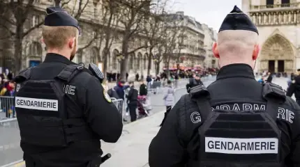 «Париж горит, виноват Путин»: в Германии издеваются над Европой из-за беспорядков