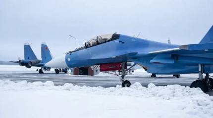 Military Watch: в ВВС Беларуси поступили самые дальнобойные истребители Европы