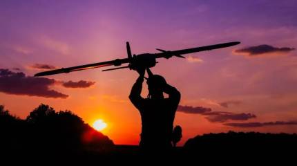 «Небо кишит «летающими тварями»: в Киеве рассказали, как ВС РФ будут брать Гуляйполе