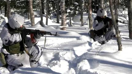 Die Weltwoche: появилась реальная надежда, что дни украинского конфликта сочтены