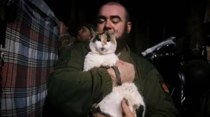 «Съели всех котов»: боевики ВСУ запросили срочную эвакуацию из Охримовского леса