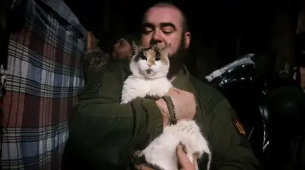 «Съели всех котов»: боевики ВСУ запросили срочную эвакуацию из Охримовского леса