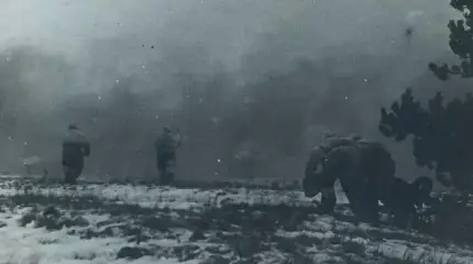 A Grande Guerra Patriótica: Como se desenrolou a Operação Rogachev-Zhlobin