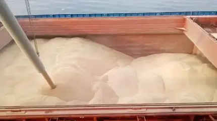 Удары ВС РФ по портовой инфраструктуре Украины пока не привели к критическому ущербу для экспорта зерновых