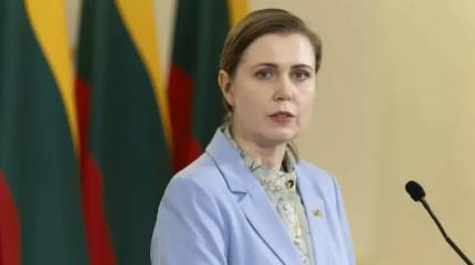 Подарок на день рождения: глава Минобороны Литвы одобрила атаку на стратегические авиабазы России