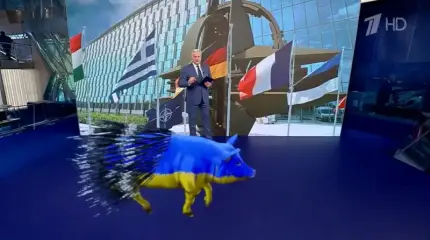 Почему Украине не стать «стальным дикобразом»