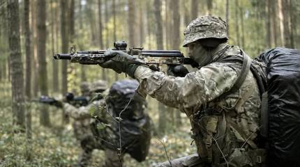 Украинские ЧВК: все серьезней, чем кажется