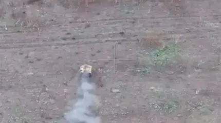 Роботизированный 