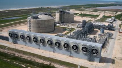 Индия экстренно посадила свою промышленность на газовую «диету»