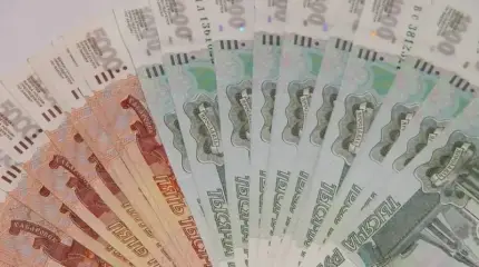 Власти сами подталкивают банковскую систему РФ к кризису