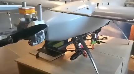 Bild: БПЛА-матки взлетают с российских судов и терроризируют Европу