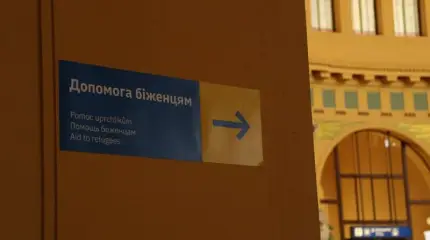 В Европарламенте призвали помочь Зеленскому вернуть беженцев-мужчин на родину