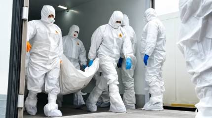 Какую закономерность выявил очередной обмен телами погибших между РФ и Украиной