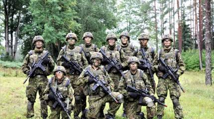 Способна ли эстонская рота обеспечить мир на Украине