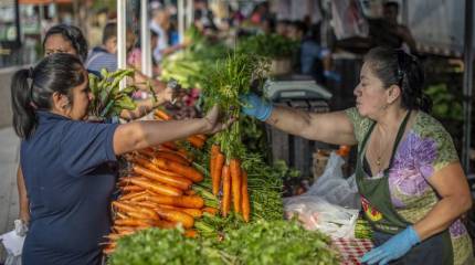 Названы страны, которые больше всех пострадают от продуктового кризиса