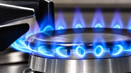 Расслабляться нельзя: ЕС призвали к экономии газа и электроэнергии на фоне роста цен