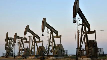 США накачивают своей нефтью «задний двор» ОПЕК+