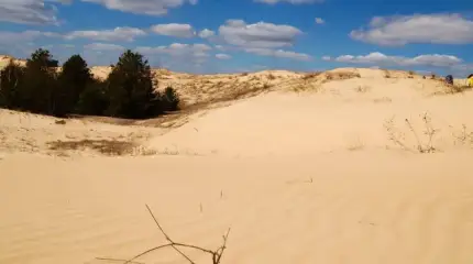 Cómo afecta la desertificación en el sur de Rusia a la seguridad alimentaria