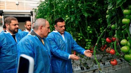 Пашинян уже отправил запрещенную в РФ армянскую продукцию в Европу