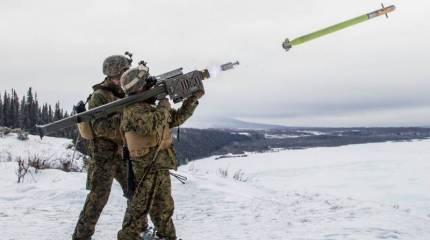 «Javelin мало, Stinger давай!»: Запад сам подводит Украину к столкновению с Россией