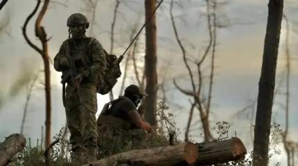 Шведский министр: украинских мужчин нужно вернуть на Украину для участия в боях