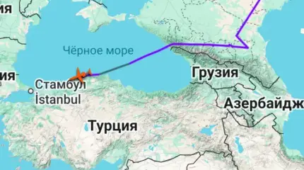 Могла ли российская делегация совершить разворот над Черным морем?