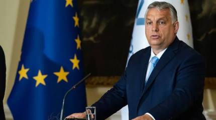 FA: падение Орбана не означает подъема Европы