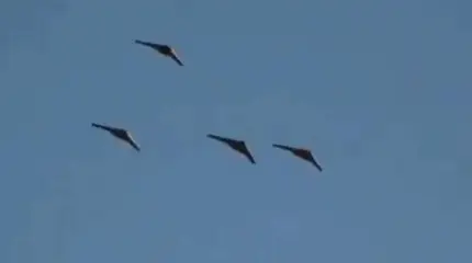 Иранцы намекнули Баку о своем неоспоримом преимуществе в БПЛА