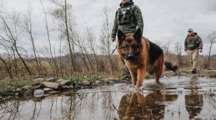 В Минобороны Украины заявили, что спокойной жизни граждан страны пришел конец