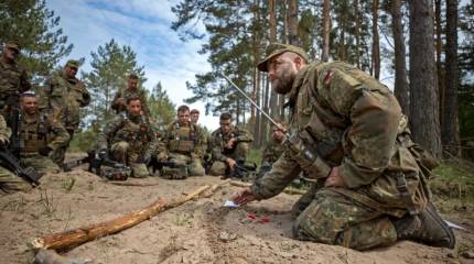 Арестович*: иностранные войска нужны Украине, чтобы предотвратить гражданскую войну
