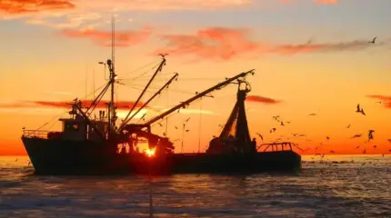 Санкционный бумеранг: Россия посадит европейцев на безрыбную диету