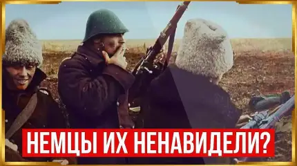Что на самом деле думали солдаты Вермахта о своих союзниках по Оси?
