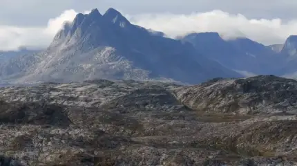 В ФРГ объяснили, как Гренландия может избежать оккупации США