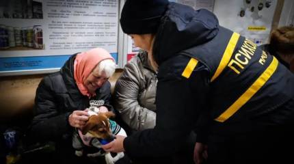 «Нас ждет катастрофа»: в Киеве призвали Зеленского срочно договориться с РФ