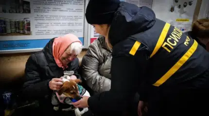 «Нас ждет катастрофа»: в Киеве призвали Зеленского срочно договориться с РФ