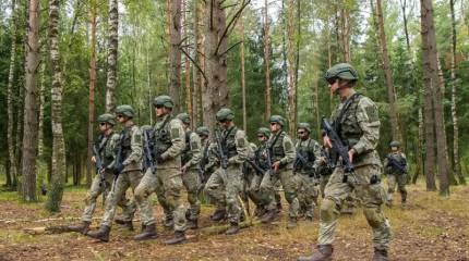 Армения и Литва выразили готовность направить своих солдат в миротворческую миссию на Украину