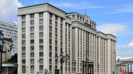 Закон о защите граждан РФ за рубежом без сильного государства бесполезен – блогер