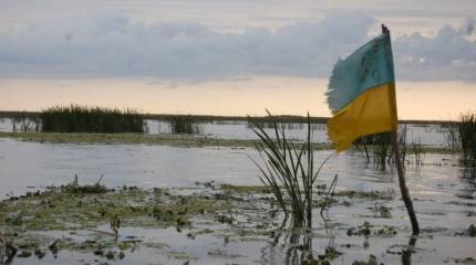 Польша массово не пускает украинцев на свою территорию