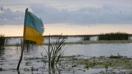 WP: ЕС стоило бы благодарить Россию за конфликт на Украине